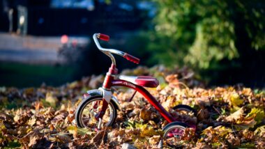 Driewieler activiteit - herfstvakantie in Zuid-Nederland