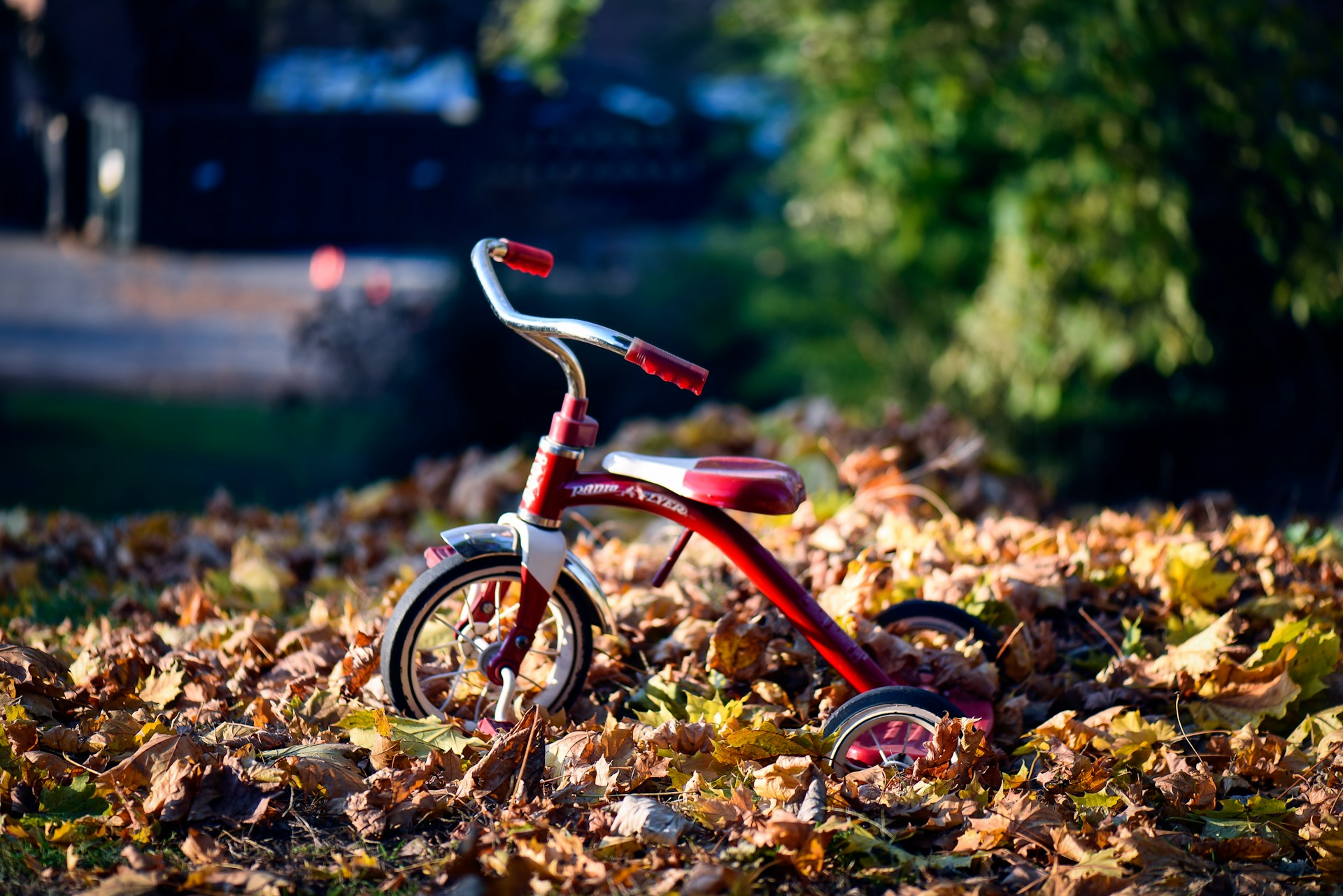 Driewieler activiteit - herfstvakantie in Zuid-Nederland