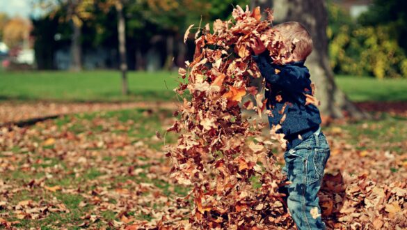 Kind speelt als activiteit - herfstvakantie in midden-nederland