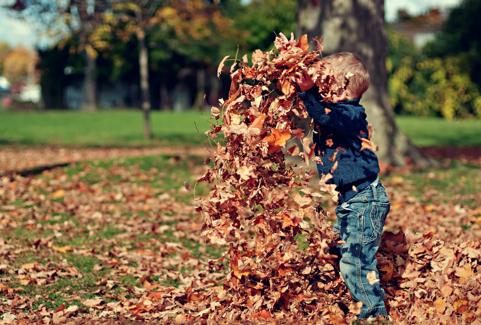 Kind speelt als activiteit - herfstvakantie in midden-nederland