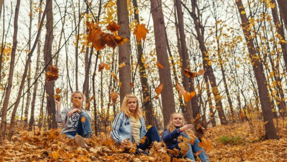 Familie doet activiteit in het bos - herfstvakantie in Vlaanderen