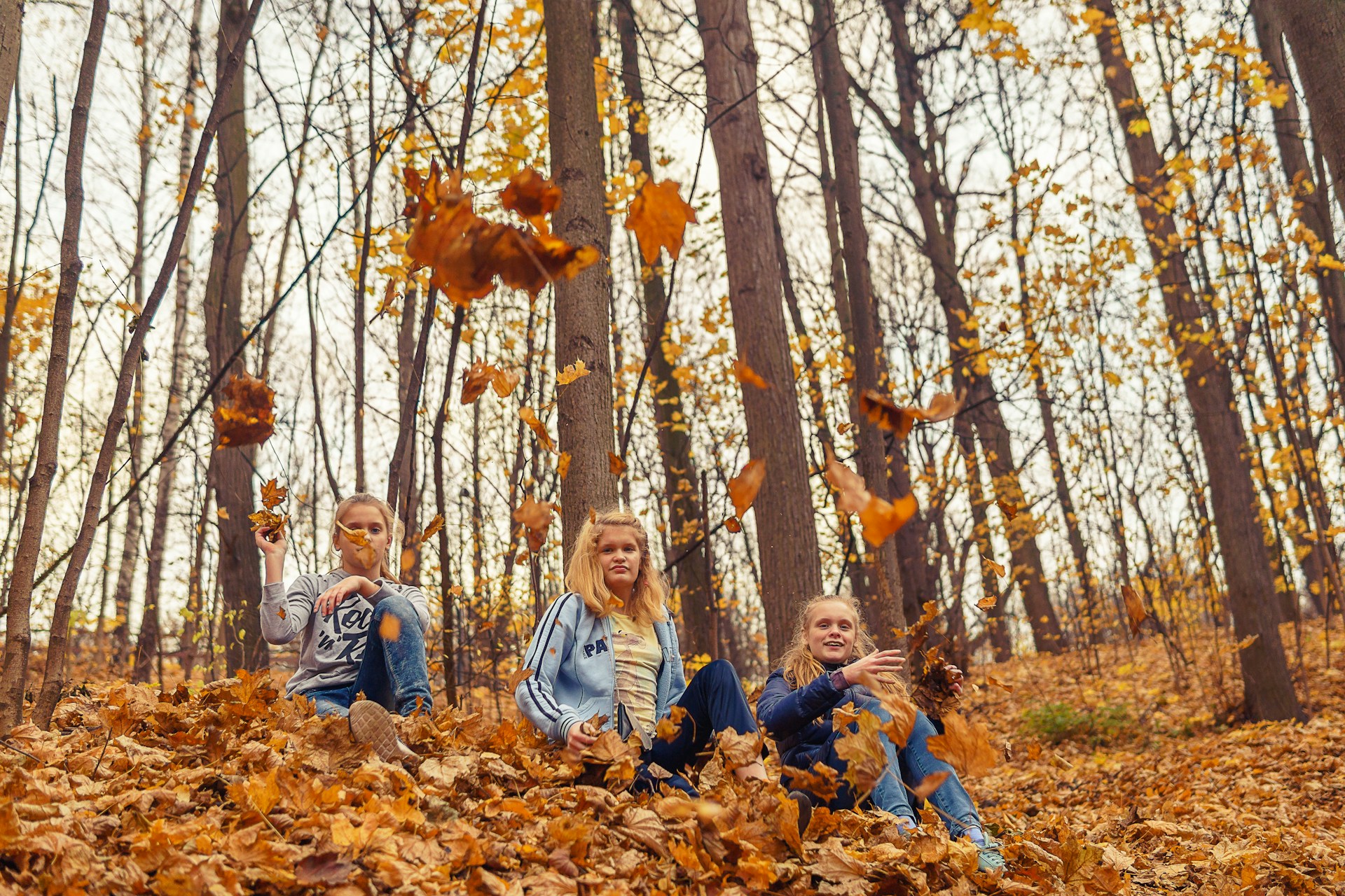 Familie doet activiteit in het bos - herfstvakantie in Vlaanderen