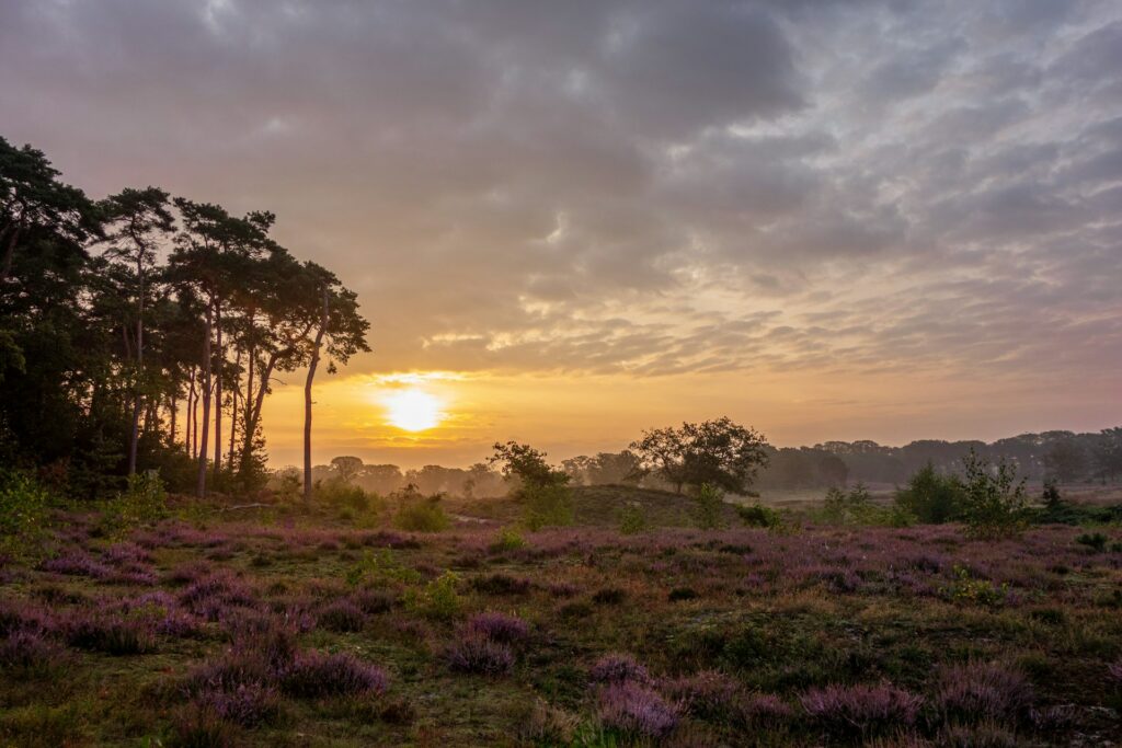 Dagje de natuur in in een nationaal park | zomervakantie nederland