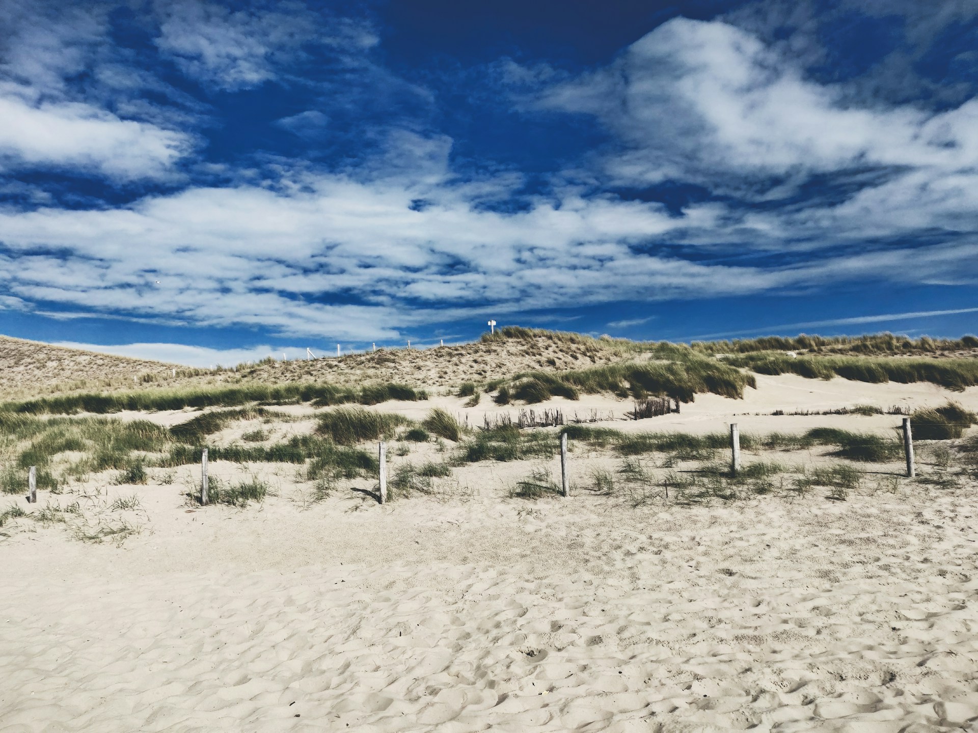 strandvakantie nederland-zomervakantie regio zuid